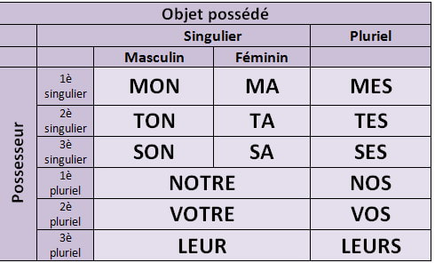 Possessive Adjectives - Le Français à AFHS